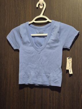 Wallflower Light Blue  V-Neck Crop Top Size: S/M
